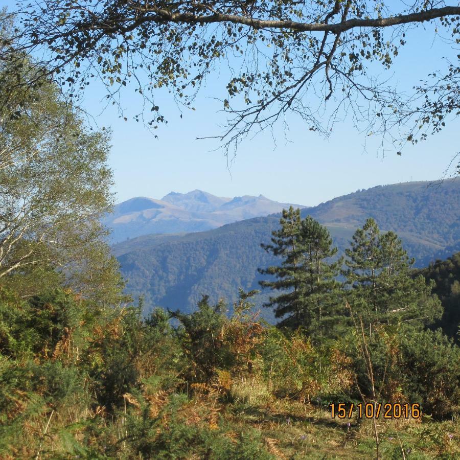 Les Chalets D'Alzen Buitenkant foto